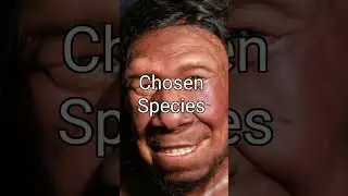 The Chosen One | Jesus Christ Edit