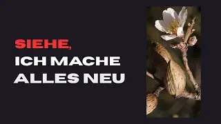 Siehe, ich mache alles neu! – Gottes Hoffnung für die Zukunft | Jahreslosung 2026 ✨
