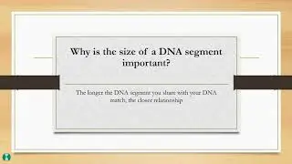 What are Shared Centimorgans in DNA?
