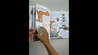 Curious Plants