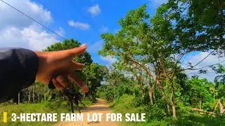 (Vlog#128) 3-hectare farm lot Along brgy road 180-mtrs frontage for only 70-pesos per sqm😊 