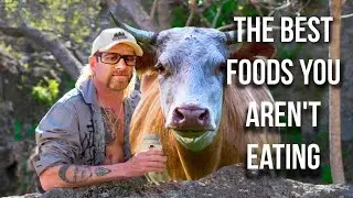 Пять главных преимуществ употребления в пищу субпродуктов