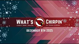 What&rsquo;s Chirpin&rsquo; 12.8.25