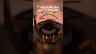 King Baum - The Best Moments - One piece