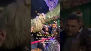 Pahadi marriage 🐐 #himachalpradesh #culture #jounpur #uttarakhand  #culture