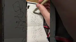 Automatic Drawing