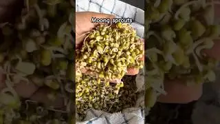 how to sprout whole moong bean #moongsprouts