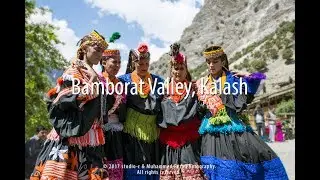 Bamborat-The Dancing Valley