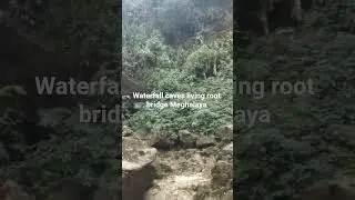 Meghalaya waterfall livingroot bridge #shortvideo #shorts #travel #nature #cleanest village