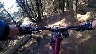 Roundwood spin with Max - trails sabotage