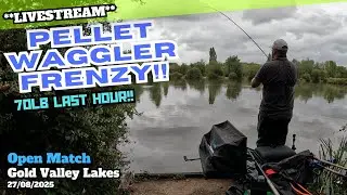 Match Fishing at Gold Valley Lakes | Bomb, Pellet Waggler & Method Feeder Action