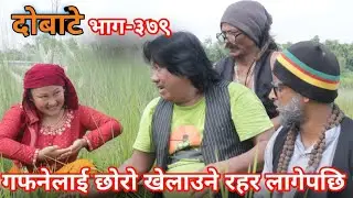 दोबाटे  | Dobate  Episode 379 | 2 Sep 2022 | Comedy Serial | Dobate | Nepal Focus Tv | By Harendra