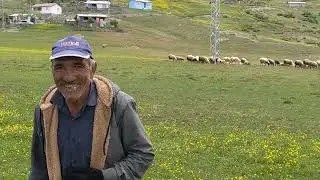 Konya bozkır yayınları