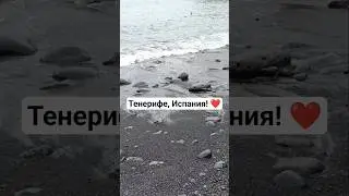 #tenerife #испания #spain #travel #путешествие #путешествия #океан #море #shorts #short #shortvideo