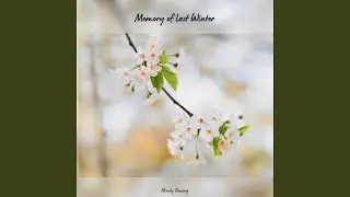 Memory of Last Winter