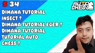 COCOK BUAT PEMULA ! MARI MARATON KONTEN TUTORIAL ! TUTORIAL AUTO CHESS INDONESIA
