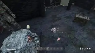 Rooster in Northbound Organic RP on Dayz