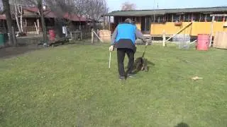 DarkFall Jessie biting (4,5 months)