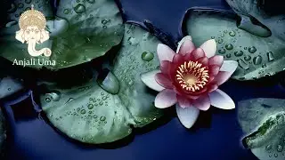 #AnjaliUma  Relaxing Anti stress and Anxiety Music  - To Leave the Mind Free