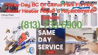 Hot Water Heater Repair in Citrus Park, FL Company Who Fix, Replace or Installation Electric or Gas