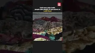 Cold wave grips Delhi, people take shelter at rain basera on Lodhi Road