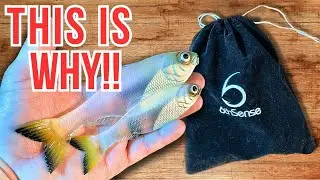 Here's Why The 6th Sense Fishing 6 Sack Is Worth Every Penny
