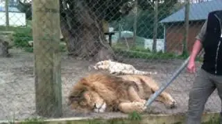 Zion Wild Life Gardens Whangarei New Zealand 6