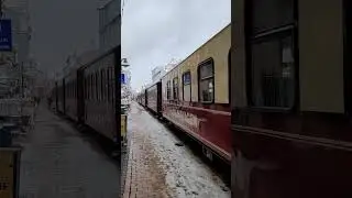 Schmalspurbahn Molli f&auml;hrt mitten durch Bad Doberan 🚂