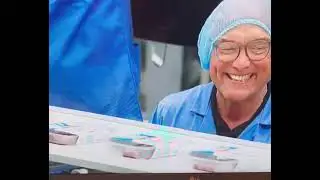 HUMAN LAB GROWN MEAT INTENDED TO CONSUME FOR HUMANS