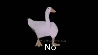 No meme