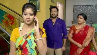 Priyamanaval Episode 202,  15/09/15