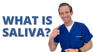 ASK DR. H &mdash; WHAT IS SALIVA?