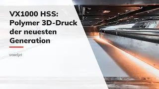 Industrieller Polymer 3D-Drucker VX1000 HSS (DE)
