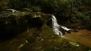 Laurel Run Park Video Project
