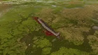 EGIPTIAN METAVERSE TROOPS VS MONGOLIAN FANATICS - UEBS 2