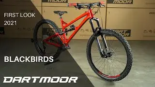 FIRST LOOK: BLACKBIRDS 2021