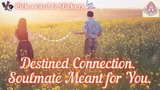 Destined Connection. The Soulmate Meant for You💖|🔮Pick a Card & Stickers|💍Divine Destiny Series💖