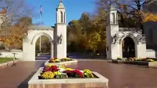 Fall Leaves in Full Effect at Indiana University Bloomington's Dunn Woods