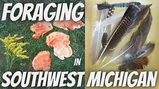 Foraging West Michigan | Michigan Foraging | Foraging | Wildcrafting Foraging Midwest | Wild Harvest
