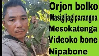 December 14, 2025-Orjon bolko masigijagiparangna mesokatenga