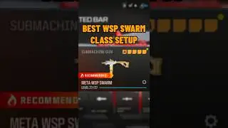 new META WSP SWARM SETUP in MW3!