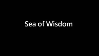 Sea of Wisdom(最新版)