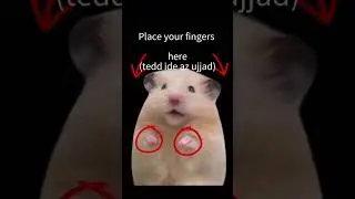 Neked tetszett?