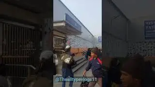 New Delhi Railway Station Redevelopment | Paharganj Side | Latest Work & Traffic Advisory Update