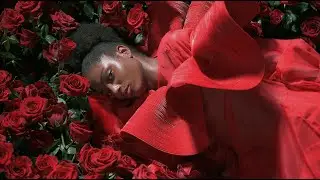 Nikon Z 9: 8K UHD Video by Christian Ammann