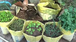 Vegetable grow in cement sack/সিমেন্টের বস্তায় কাঠগুড়ি দিয়ে  সবজি চাষ (With English Subtitle)