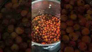 Mayhaw jelly time! Full video recipe on my channel. #louisiana #jelly #shorts