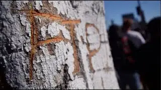 ftp x dc shoes collab | vlog