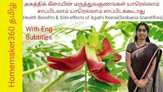 அகத்தி கீரையின் அற்புத மருத்துவ பயன்களும் ஆபத்தும் |  Medicinal Uses of Agathi Keerai