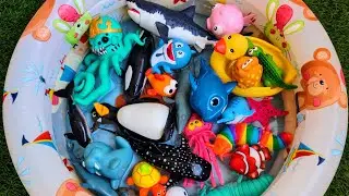 Learn Sea Animals for Kids | Colorful Ocean Discovery & Playtime Learning